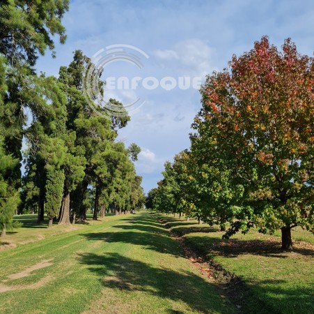 Terrenos en country Los Molinos