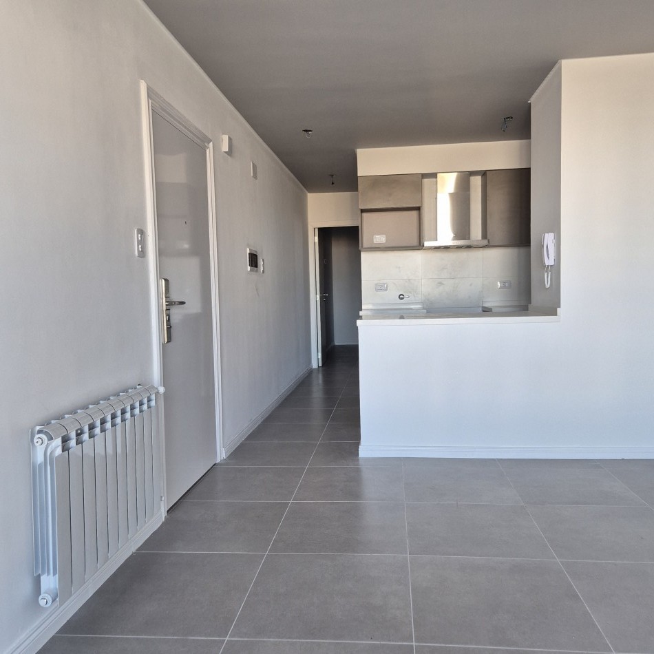 Dpto 1 dorm zona centro