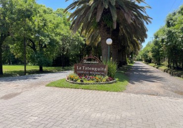 Lote en La Tatenguita